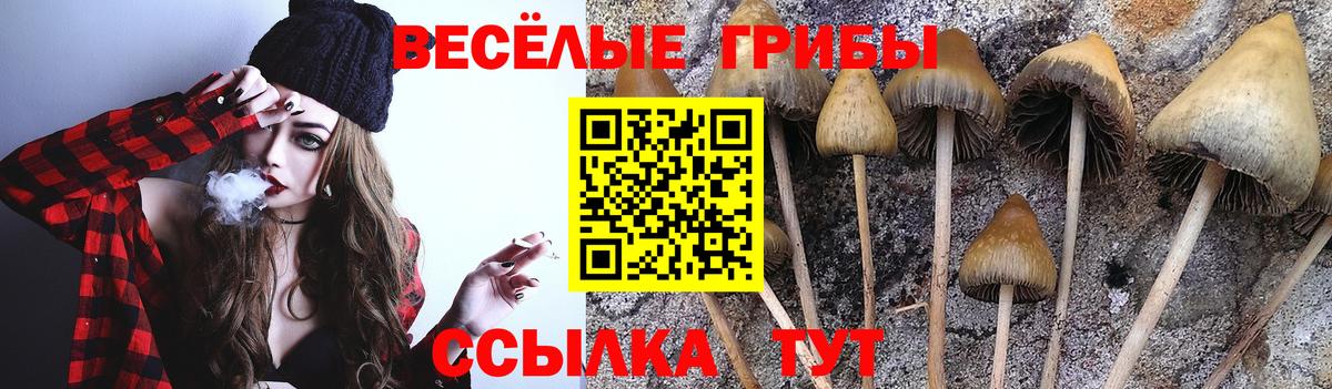 Псилоцибиновые грибы Cubensis  Вход с VPN  Бахчисарай 